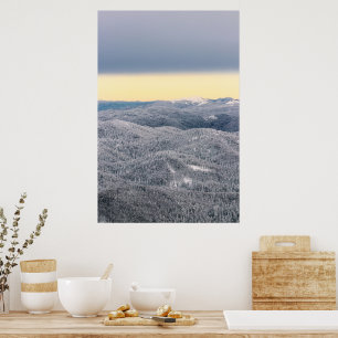Póster Nubes oscuras cielo soleado y bosque invernal neva