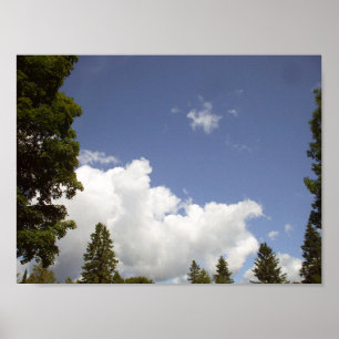Póster Nubes sobre árboles
