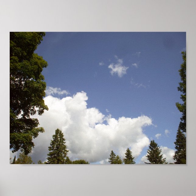 Póster Nubes sobre árboles (Frente)