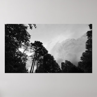 Póster Nubes y árboles, cartel