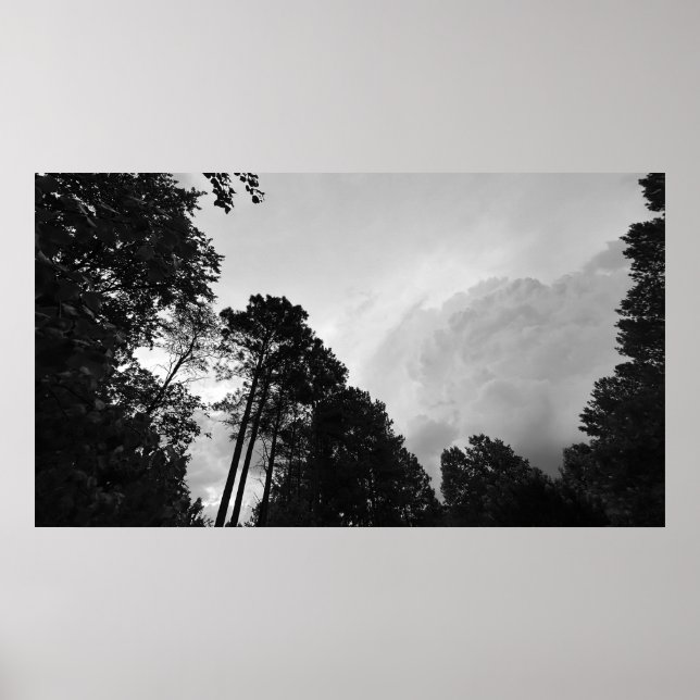 Póster Nubes y árboles, cartel (Frente)