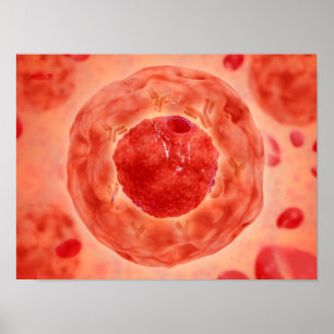 Póster Núcleo de célula con el cromosoma 2