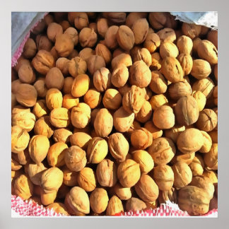 Póster Nueces de nuez fresca Pintura hiperrealista