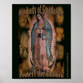 PÓSTER NUESTRA MUJER DE GUADALUPE PROTEGE A LOS DESNACIDO