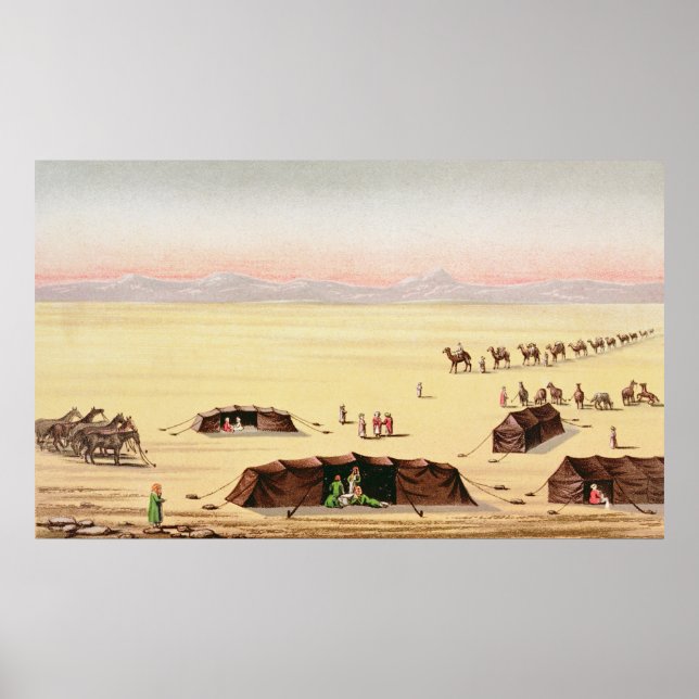 Póster Nuestro campamento del desierto (Frente)