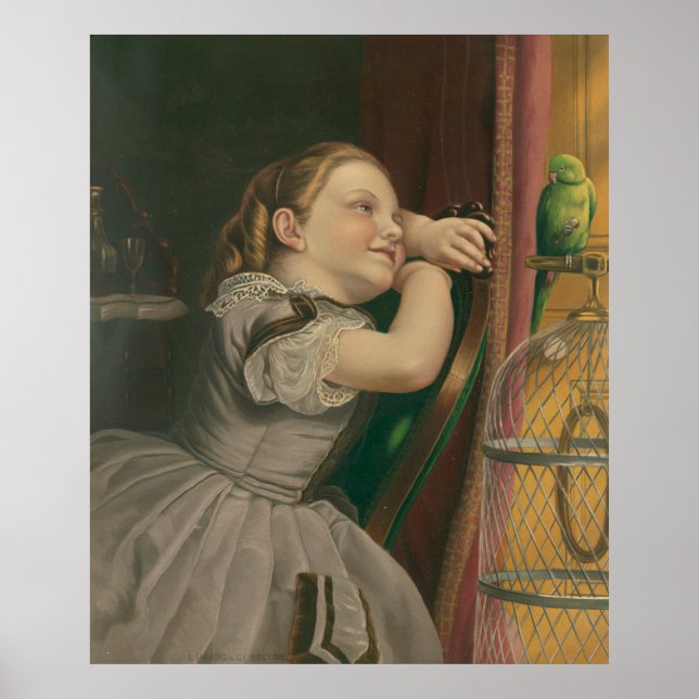 Póster Nuestro Mascota Polly (Frente)