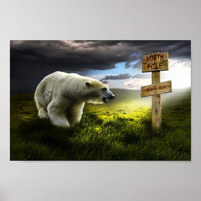 Póster Nuestro polario (Frente)