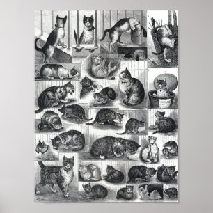 Póster Nuestros Gatos una Historia Doméstica, Louis Wain