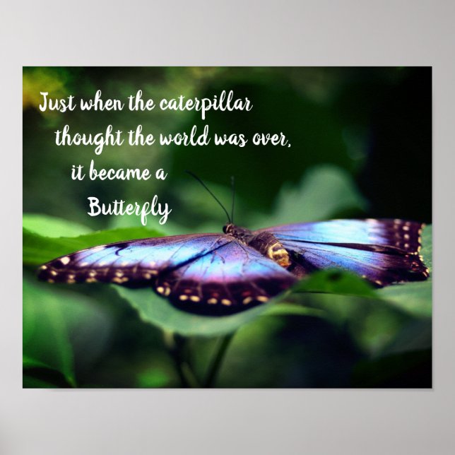 Póster Nueva cita Inspiradora de Butterfly de comienzos (Frente)