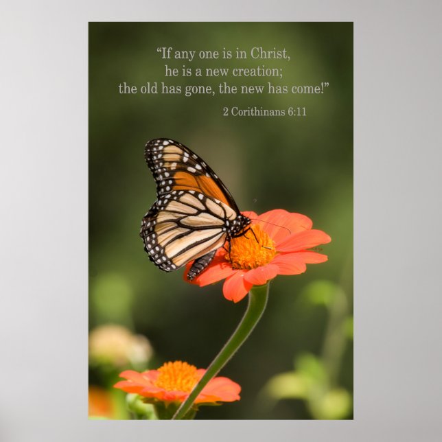 Póster Nueva creación (Frente)