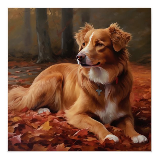 Póster Nueva Escocia Duck Terrier En Otoño Cae La Izquier (Anverso)