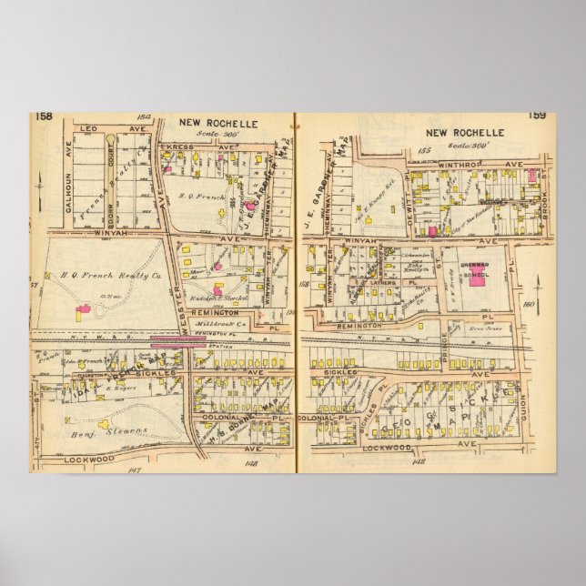 Póster Nueva Rochelle 158159 (Frente)