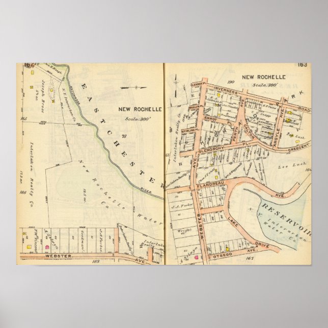 Póster Nueva Rochelle 162163 (Frente)