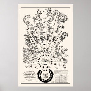 Póster Nueva York y Erie Railroad Org - Light - Esquema