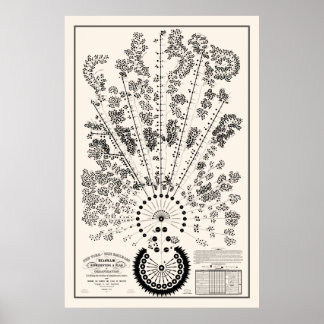 Póster Nueva York y Erie Railroad Org - Light - Esquema