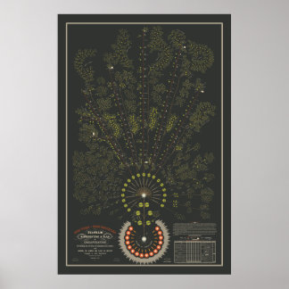 Póster Nueva York y Erie Railroad Org - Oscuro - Color