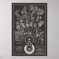 Nueva York y Erie Railroad Org - Oscuro - Esquema