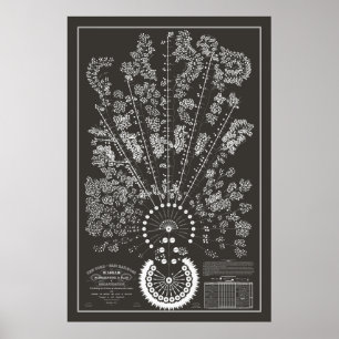 Póster Nueva York y Erie Railroad Org - Oscuro - Esquema