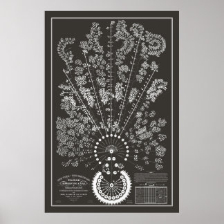 Póster Nueva York y Erie Railroad Org - Oscuro - Esquema