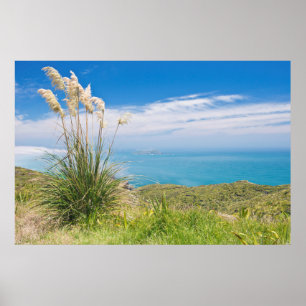 Póster Nueva Zelanda, Isla del Norte, Cabo Reinga 2