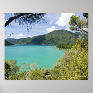 Póster Nueva Zelanda, Isla del Sur, Sonidos Marlborough.