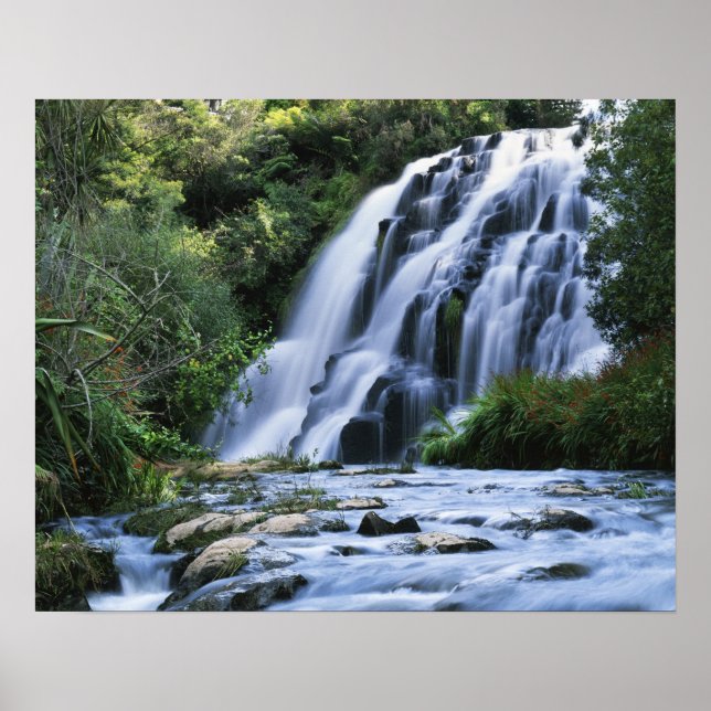 Póster Nueva Zelanda, Isla Norte, Karangahake Gorge, (Frente)