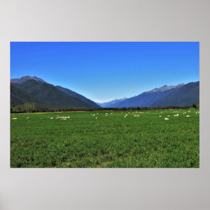 Póster Nueva Zelanda típica