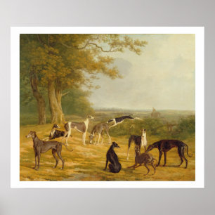 Póster Nueve galgos en un paisaje (aceite en lona)