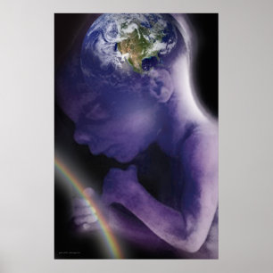 Póster Nuevo amanecer