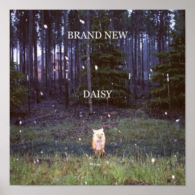 Póster Nuevo Daisy (Frente)