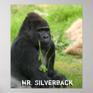 Póster Nuevo Poster