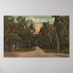 Póster Nuevo Smyrna, la Florida - opinión la magnolia