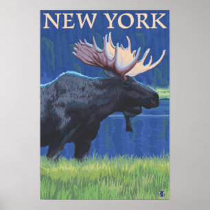 Póster Nuevo YorkMoose en el claro de luna