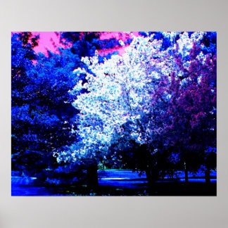 Póster Nuevos colores de primavera