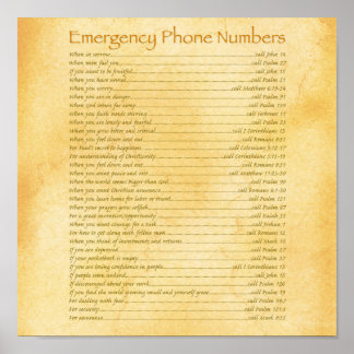 Póster Números de teléfono de emergencia