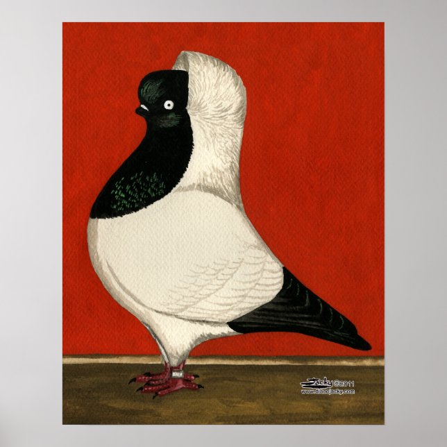 Póster Nun Pigeon (Frente)