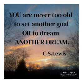 PÓSTER NUNCA ERES DEMASIADO VIEJO