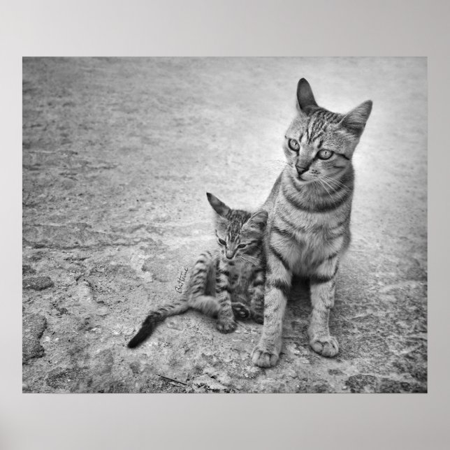 Póster Nunca Me Dejes Solo (Frente)