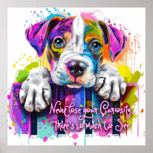 Póster Nunca pierdas tu curiosidad, hay mucho que ver