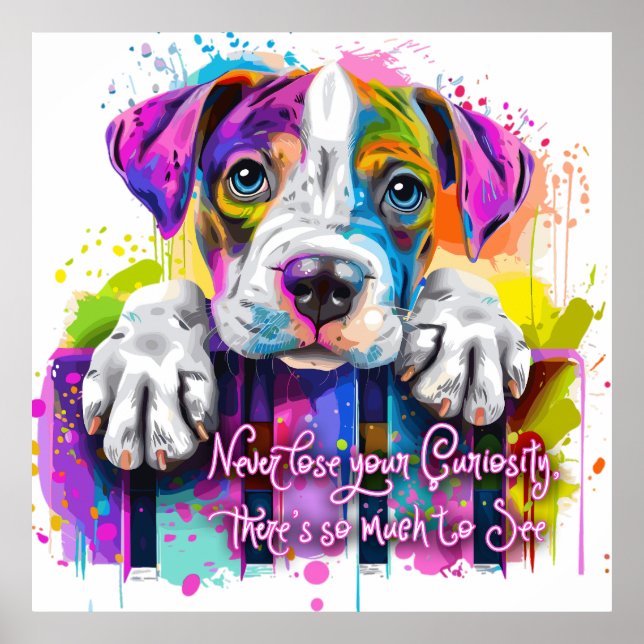 Póster Nunca pierdas tu curiosidad, hay mucho que ver (Frente)