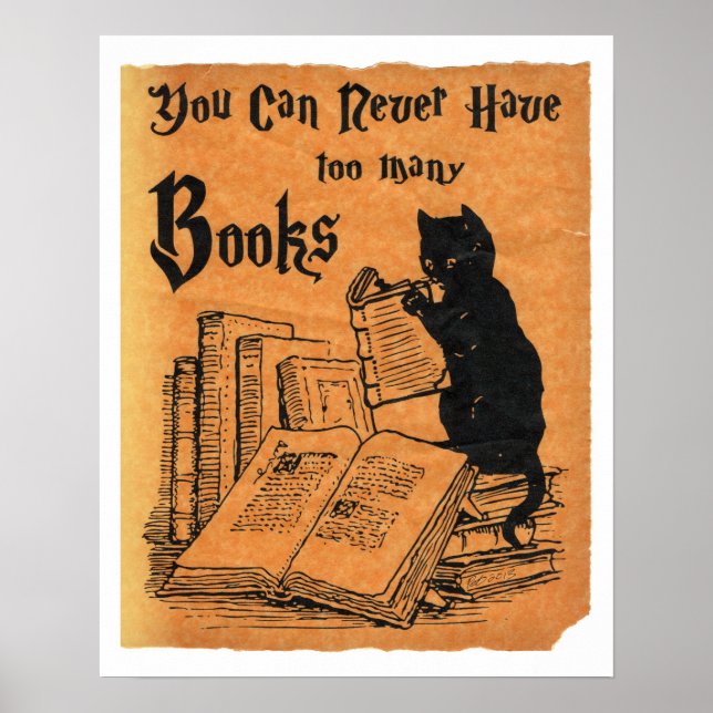 Póster Nunca Se Puede Tener Demasiados Libros Poster Blan (Frente)