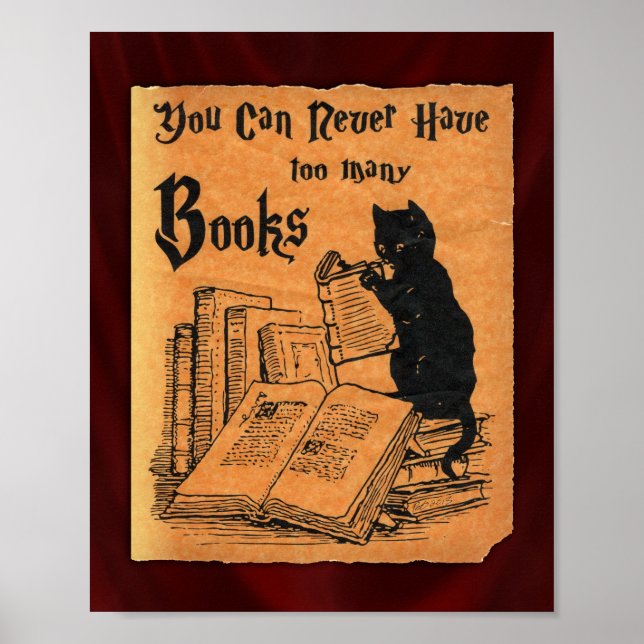Póster Nunca Se Puede Tener Demasiados Libros Poster De G (Frente)