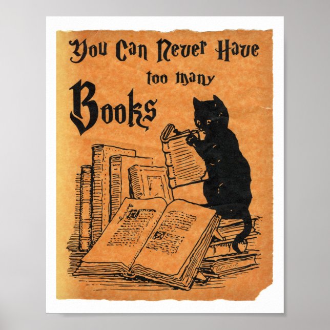 Póster Nunca Se Puede Tener Demasiados Libros Poster De G (Frente)