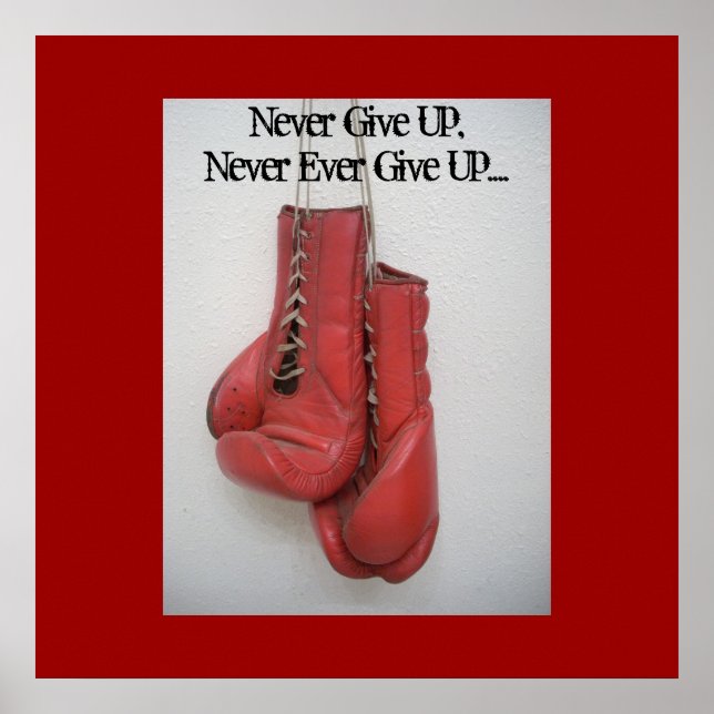 Póster Nunca Se Rindan, Nunca Se Rindan...... (Frente)