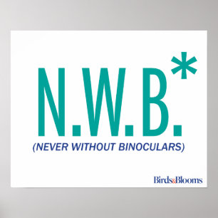 Póster Nunca sin Binoculares