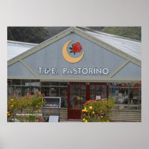 Póster Nursera de flores