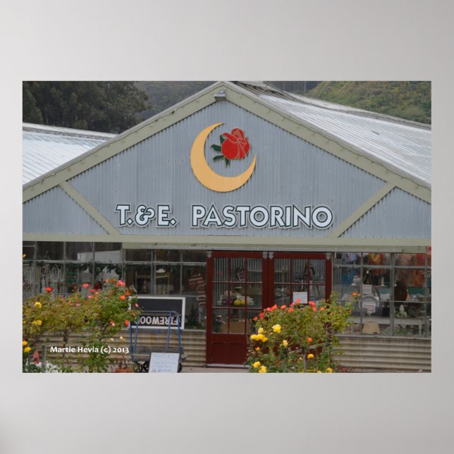 Póster Nursera de flores (Frente)