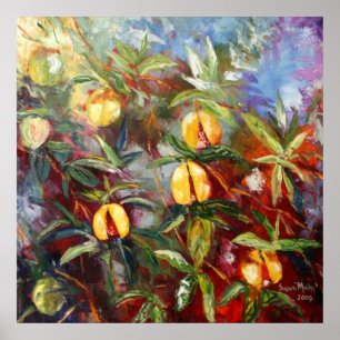 Póster Nutmeg de Granada