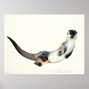 Póster Nutria curiosa 2003