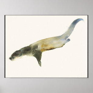 Póster Nutria europea